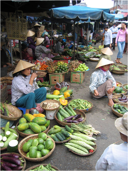 Going to Market, Vietnam
